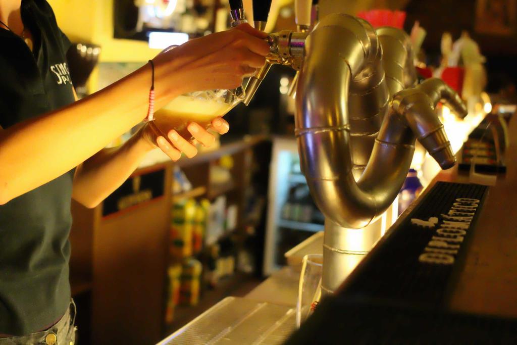 Hostel Singer Pub Ceske Budejovice Dış mekan fotoğraf